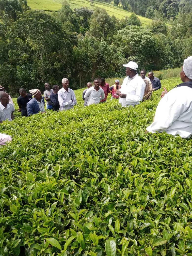 Bomet highlands and farmer impact